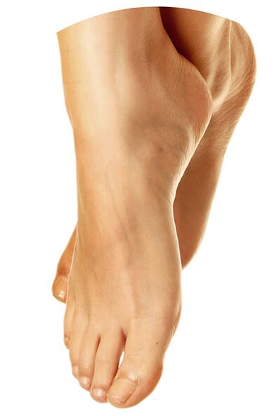 Pés de saúde con promicil